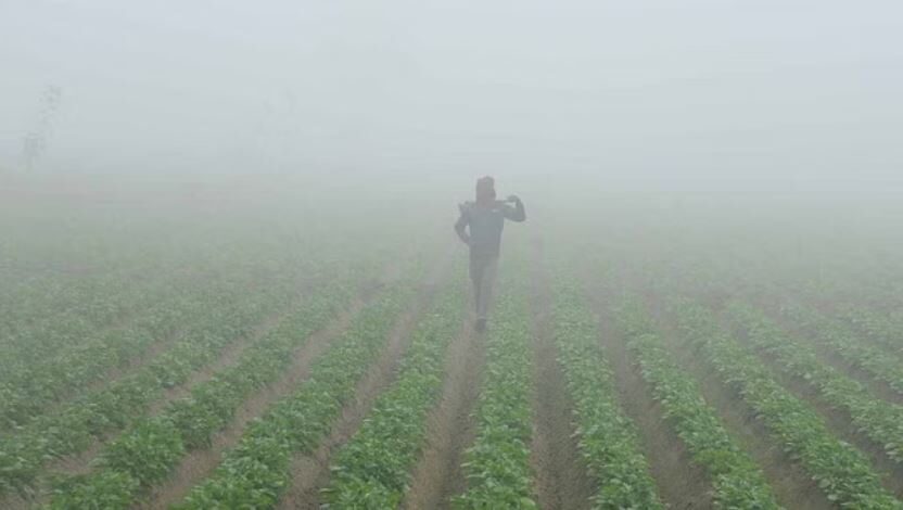 Photo of पंजाब में शुक्रवार को सीजन की सबसे ठंडी रही रात