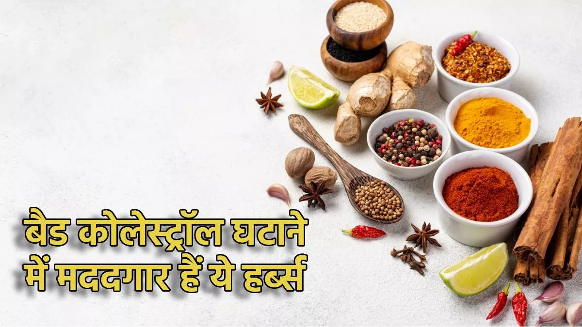 Photo of इन 5 हर्ब्स की मदद से आसानी से बाहर निकाल सकते हैं शरीर में जमे बैड कोलेस्ट्रॉल को