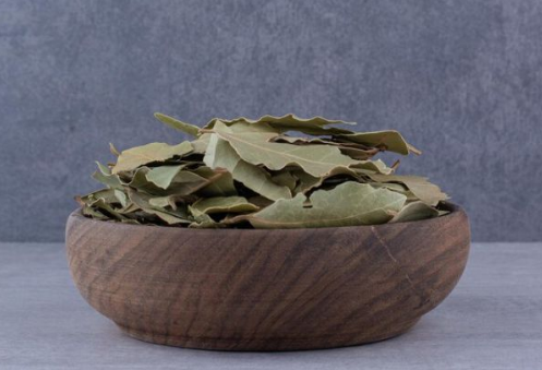 Photo of कब्ज और एसिडिटी की छुट्टी कर देगा तेजपत्ता