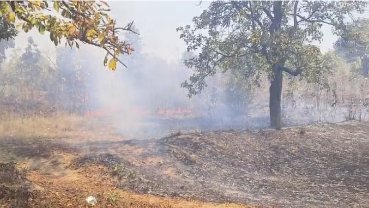 Photo of कोरबा: बालको रेंज के जंगल में धधक रही भीषण आग, बड़ी मात्रा में वनस्पति जलकर राख