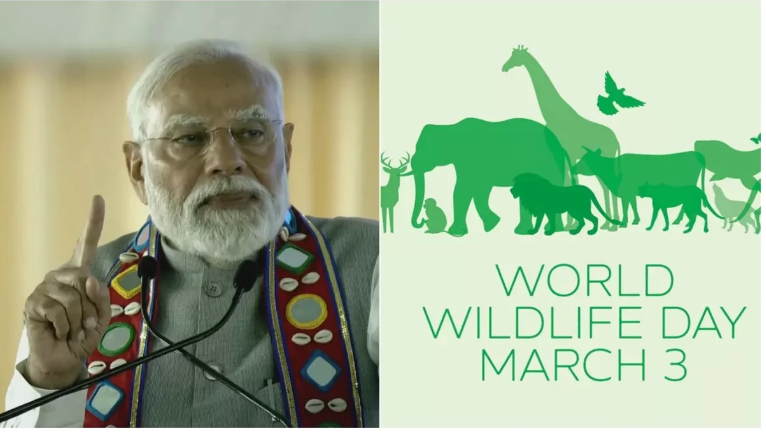 Photo of पीएम मोदी ने दी ‘वन्यजीव दिवस’ पर शुभकामनाएं