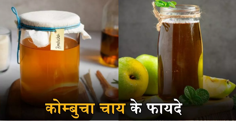 Photo of कोम्बुचा चाय है सेहत के लिए वरदान