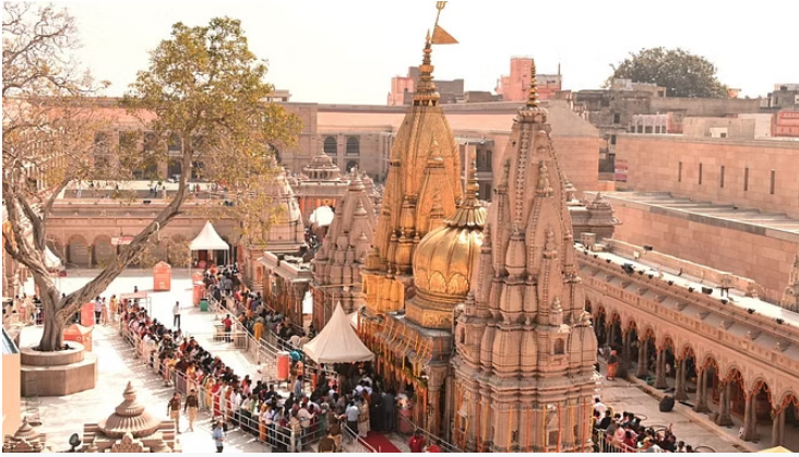 Photo of वाराणसी: काशी विश्वनाथ धाम में बंदरों का आतंक