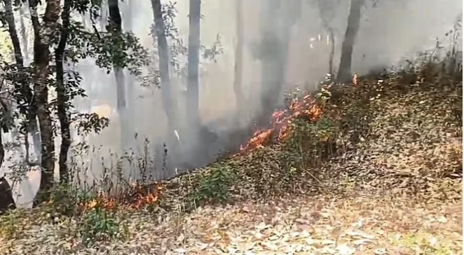 Photo of उत्तराखंड: धधकते रहेंगे जंगल लेकिन इस साल आग बुझाने नहीं आएंगे हेलिकॉप्टर