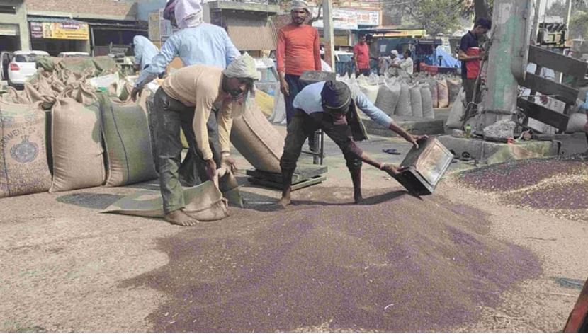 Photo of बहादुरगढ़ अनाज मंडी: सरसों का नहीं हुआ उठान, कैसे होगा किसानों का भुगतान