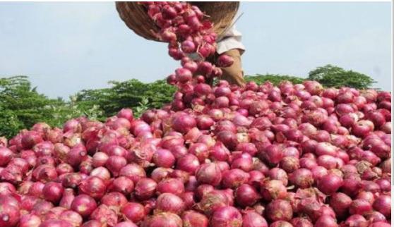 Photo of प्याज निर्यात से प्रतिबंध हटाने से पहले EC से ली गई अनुमति