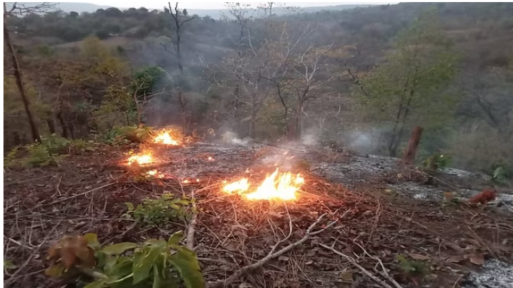 Photo of कबीरधाम: भीषण गर्मी में धधक रहा जंगल, हफ्ते भर में 15 जगह लगी आग