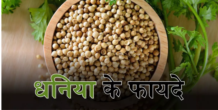 Photo of हरी हो या सूखी, धनिया खाने से मिलते हैं ये 5 गजब के फायदे