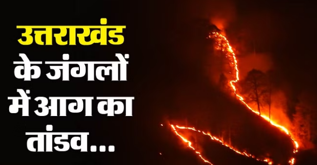 Photo of नैनीताल: बारिश के बाद फिर से धधकने लगे जंगल…रातभर जलती रही वन संपदा