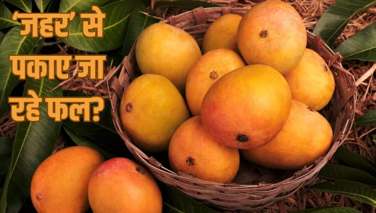 Photo of खतरनाक केमिकल से पकाए जा रहे फल! डैमेज हो सकते हैं शरीर के ये हिस्से