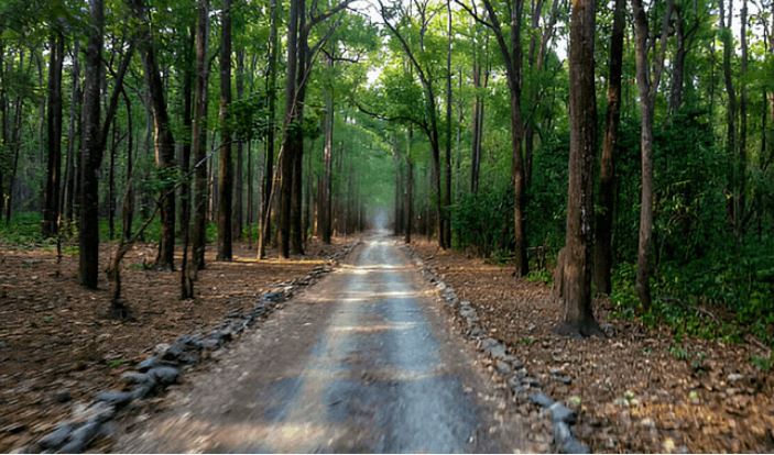 Photo of वन्य संपत्तियों के नुकसान की शिकायत पर तुरंत होगी कार्रवाई, जारी हुआ ग्रीन हेल्पलाइन नंबर