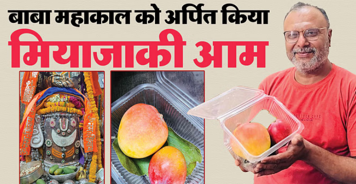 Photo of मध्य प्रदेश: जबलपुर के भक्त ने बाबा महाकाल को चढ़ाया विश्व का सबसे महंगा आम