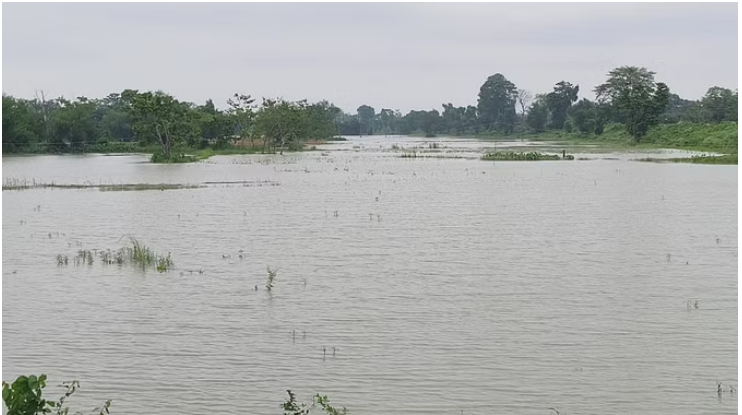 Photo of बिहार: मानसून की इंट्री होते ही रौद्र रूप दिखाने लगी कोसी नदी