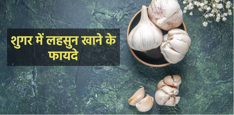 Photo of लहसुन का इन तरीकों से इस्तेमाल डायबिटीज के साथ हाई कोलेस्ट्रॉल में भी है फायदेमंद