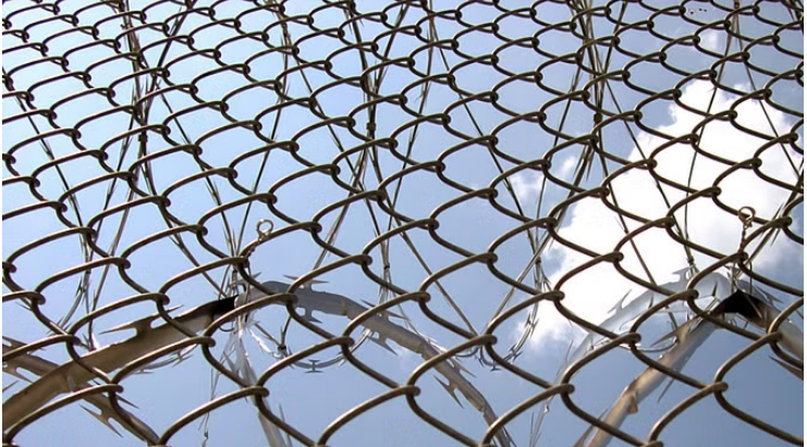 Photo of गोरखपुर: जम्मू के आतंकी हमले की प्रशंसा करने वाला युवक गिरफ्तार