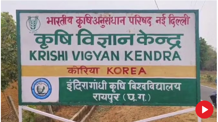 Photo of छत्तीसगढ़: मनरेगा से 41 लाख रुपये खर्च कर लगाए गए नारियल व अन्य औषधीय पौधे