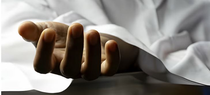 Photo of कोरबा: पति-पत्नी पर दंतैल हाथी ने किया हमला, महिला की मौके पर मौत