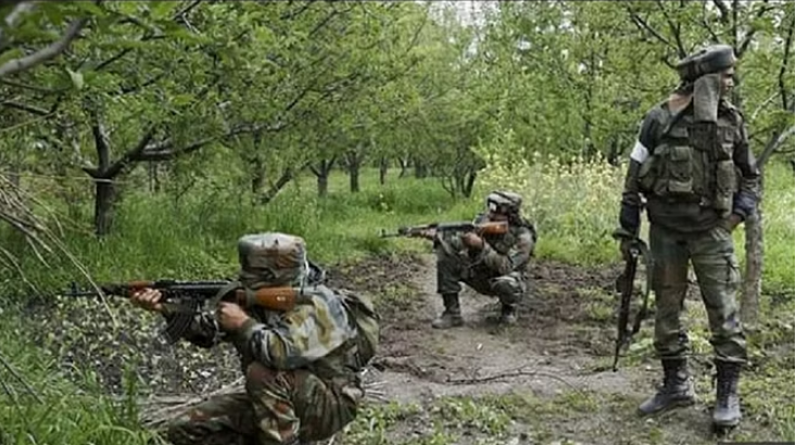 Photo of बीजापुर और तेलंगाना की सरहद पर मुठभेड़, ग्रेहाउंड्स जवानों ने एक नक्सली को मार गिराया