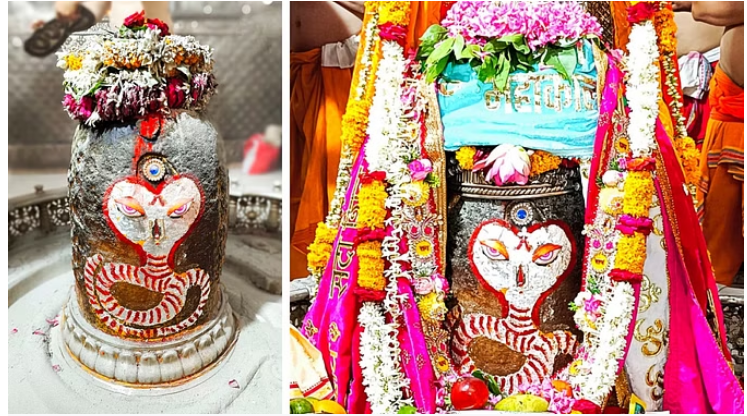 Photo of उज्जैन : भस्म आरती में बाबा महाकाल के शिवलिंग पर किया सर्प से शृंगार