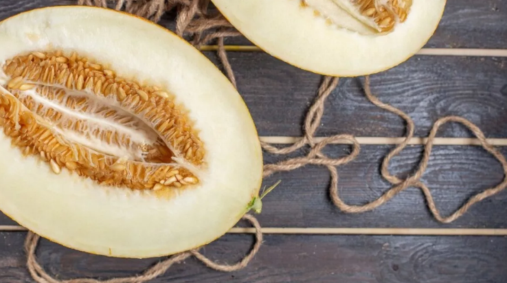 Photo of अगर आप भी कचरा समझ फेंक देते हैं खरबूजे के बीज, तो एक बार जरूर जान लें इसके फायदे…