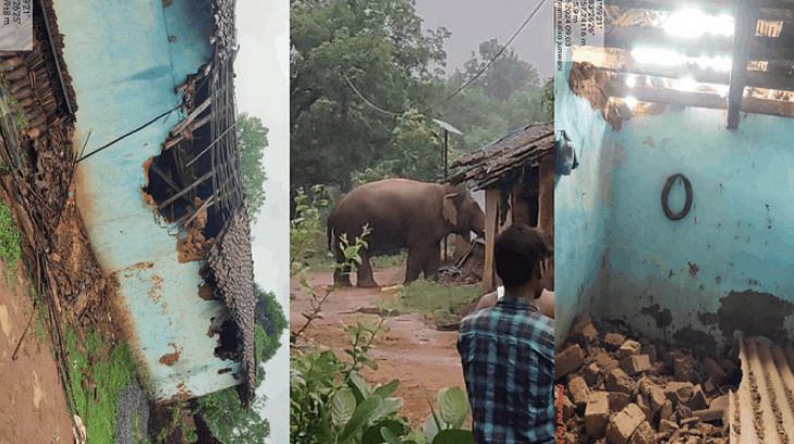Photo of छत्तीसगढ़ में दंतैल हाथी का उत्पात: घरों को किया क्षतिग्रस्त…