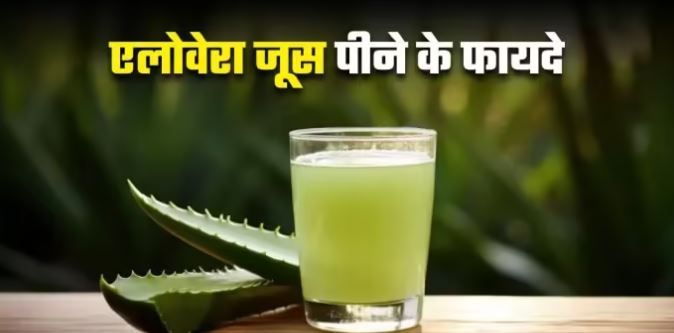Photo of रोजाना एलोवेरा जूस पीने से सेहत को मिलते ये फायदे