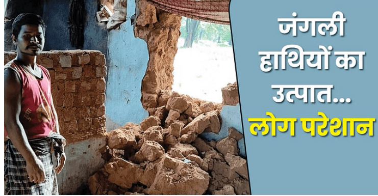 Photo of शपुर में जंगली हाथियों का आधी रात को हमला, लोगों में दहशत का माहौल