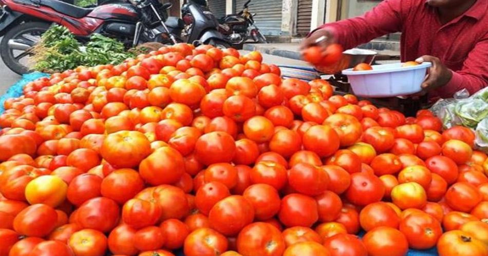 Photo of टमाटर की कीमतों में 70% तक की गिरावट