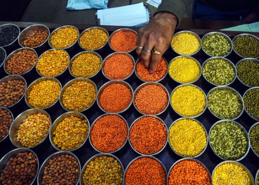 Photo of  चालू वित्त वर्ष में घट सकता है दालों का आयात