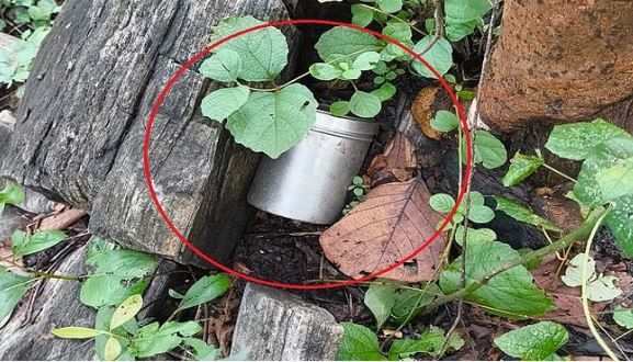 Photo of बीजापुर: सुरक्षाबलों को मिली कामयाबी, चार-चार किलो के तीन आईईडी बरामद