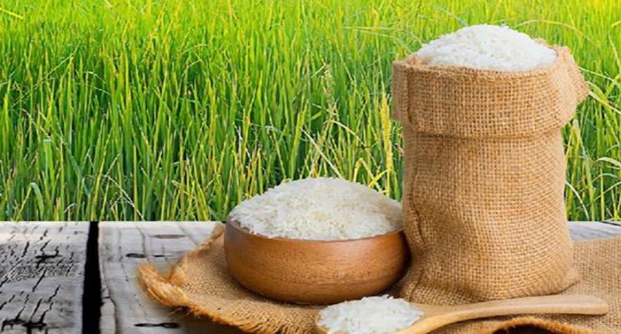 Photo of सरकार बासमती चावल के निर्यात पर न्यूनतम मूल्य को घटाने पर कर रही विचार