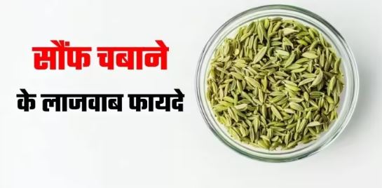 Photo of खाने के बाद सौंफ चबाने से सेहत को मिलते हैं ये 5 गजब फायदे