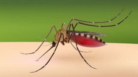 Photo of दिल्ली में डेंगू ने पकड़ी रफ्तार: 150 निर्माण स्थलों पर मिला मच्छर का लार्वा