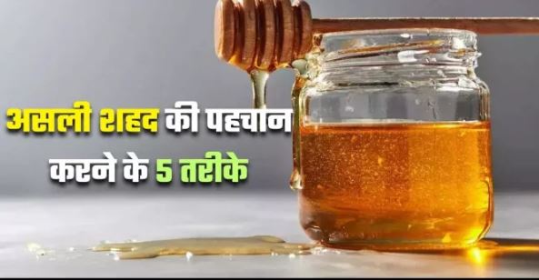 Photo of शहद असली है या नकली? इन तरीकों से घर पर ही करें इसकी शुद्धता की पहचान