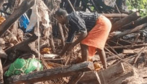 Photo of छत्तीसगढ़ में हाथियों का आतंक जारी, घर में सो रही महिला पर किया हमला