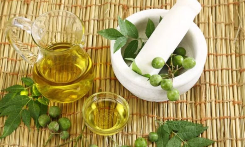 Photo of इन पत्तियों से बनी क्रीम आपको देगी दमकती त्वचा