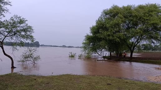 Photo of बेमेतरा: बाढ़ प्रभावित क्षेत्रों में पानी कम होने के बाद अब संक्रमण का खतरा, 