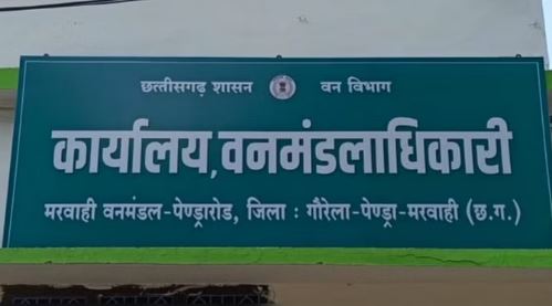 Photo of GPM: भालूओं का आतंक… हमला कर दो लोगों को किया घायल, अस्पताल में भर्ती