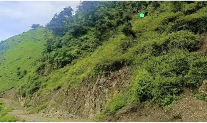 Photo of  मानसून सीजन में पांच सौ नए भूस्खलन जोन हुए विकसित, एसडीसी फाउंडेशन ने जारी की रिपोर्ट