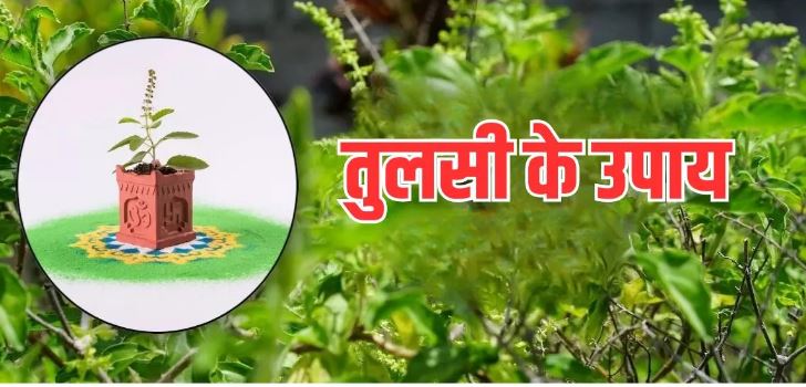 Photo of शारदीय नवरात्र में अपनाएं तुलसी के ये चमत्कारी उपाय, जल्द लेंगे सात फेरे