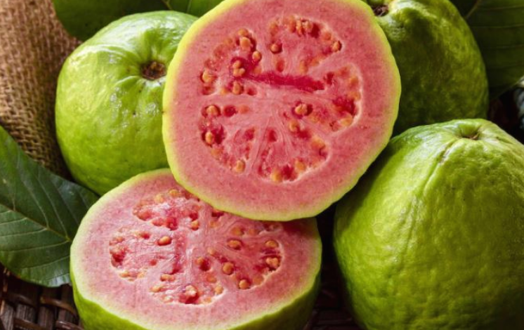 Photo of इस फल का सेवन करने से रहेंगे एक दम स्वस्थ, जाने इसके फायदे