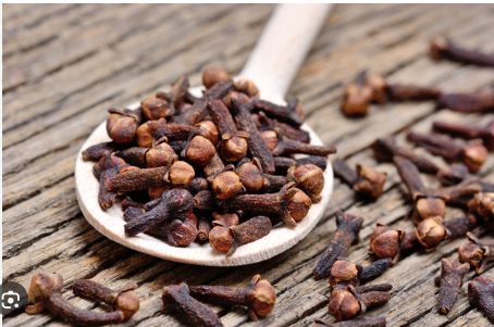 Photo of पेट और दांतों से जुड़ी समस्याओं से दूर रखेगी एक लौंग