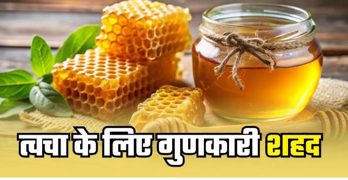 Photo of सेहत ही नहीं त्वचा के लिए गुणकारी है शहद