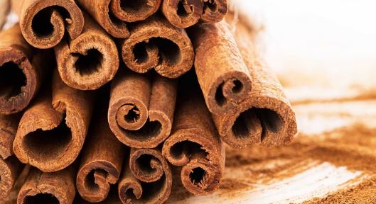 Photo of मसाले और फ्लेवर उत्पादों में स्वाद बढ़ाएगी प्रदेश की दालचीनी, दो लाख पौध की नर्सरी तैयार