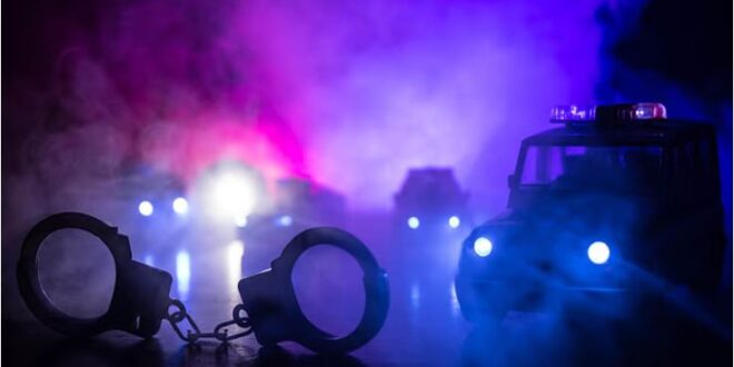 Photo of दिल्ली का सबसे बड़ा ड्रग माफिया शराफत गेट तोड़कर गिरफ्तार