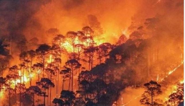 Photo of उत्तराखंड में वनाग्नि से निपटने के लिए वन विभाग की तैयारी शुरू