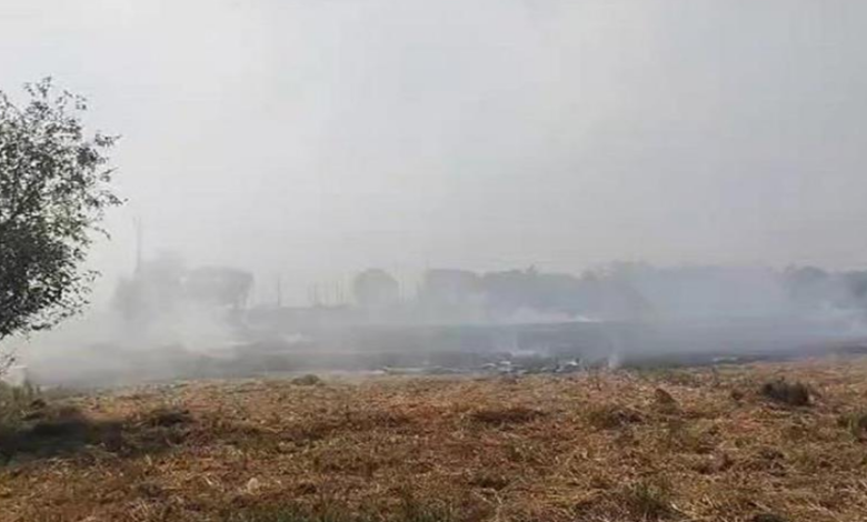 Photo of हरियाणा: प्रशासन की मुहिम लाई रंग, किसानों द्वारा पराली जलाने के मामलों में आई कमी!