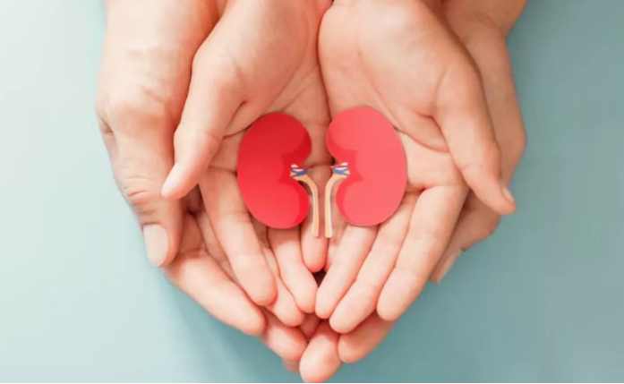 Photo of किडनी को नेचुरली साफ करने में मददगार हैं ये फल