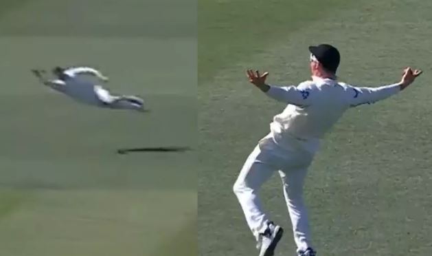 Photo of NZ vs ENG: ऐसा कैच देखा नहीं! ग्लेन फिलिप्स ने पकड़ी उड़ती हुई ‘चिड़िया’, देखने वालों को नहीं हो रहा यकीन