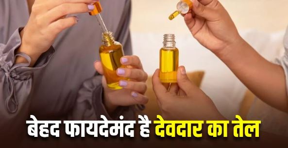 Photo of बालों को जड़ से मजबूत बनाता है देवदार का तेल